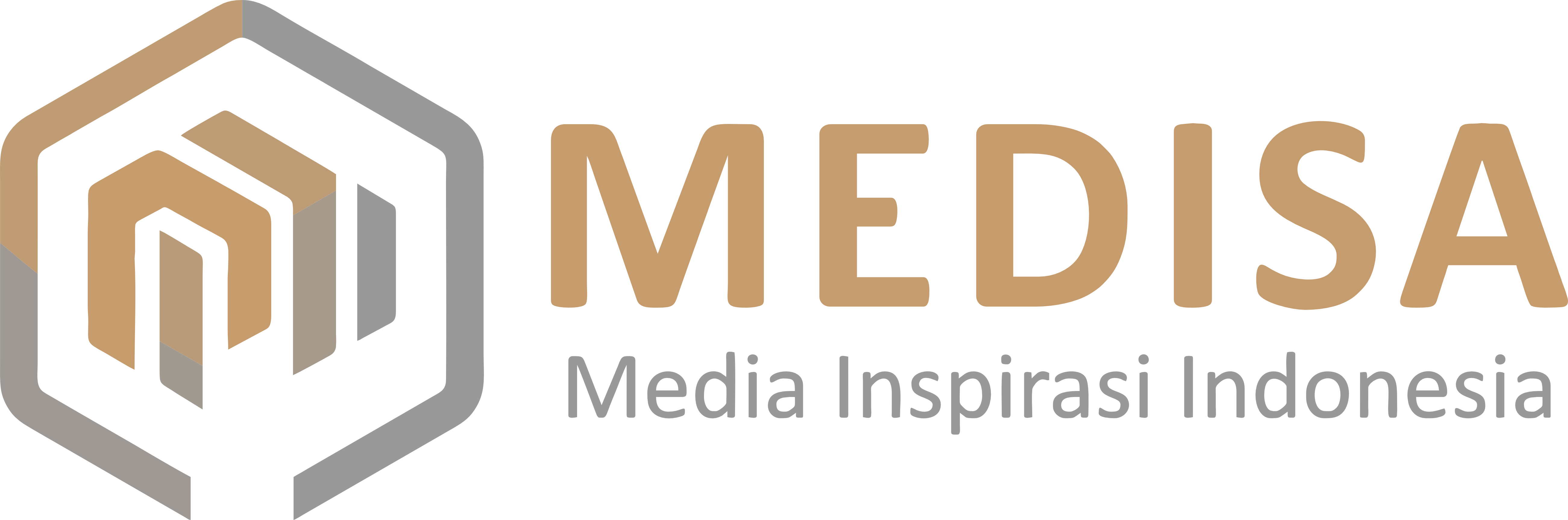 Medisa | Training SDM dan IT